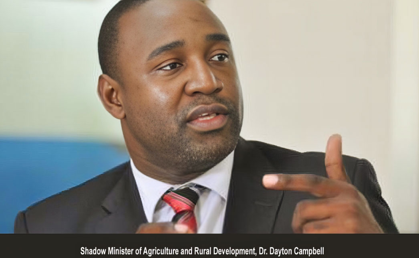 JAMAICA : Despite Opposition Concerns, the NaRRA Bill was Passed Anyway, Late Tuesday Night Along Party Lines