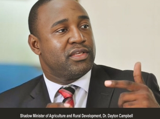 JAMAICA : Despite Opposition Concerns, the NaRRA Bill was Passed Anyway, Late Tuesday Night Along Party Lines