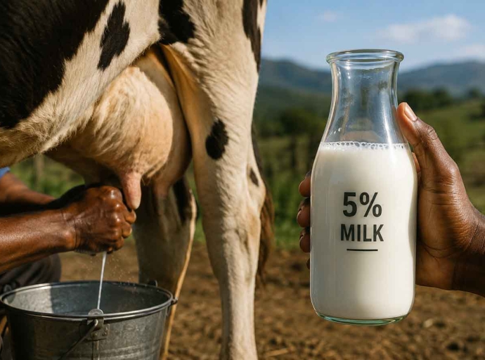 JAMAICA | Is Cow's Milk at 5% Per Cent  Still Called Milk? Jamaica's Quiet Redefinition of Dairy