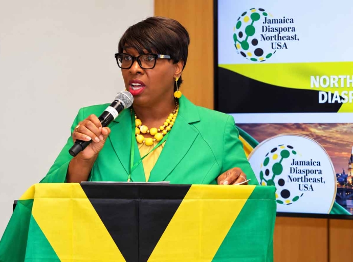 DIASPORA | Elected Abroad, Confirmed in Kingston: Who Really Runs Jamaica’s Diaspora Council