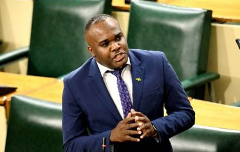 JLP Senator Abka Fitz Henley  launched a personal attack against Senator Donna Scott Mottley.