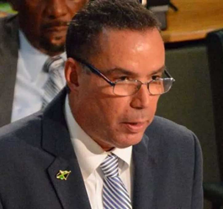 Energy Minister Daryl Vaz 