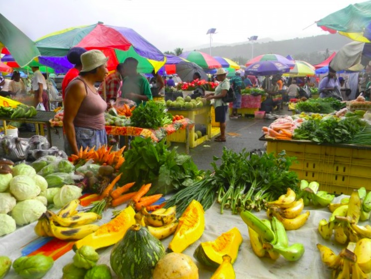 Dominica agriculture farm produce 