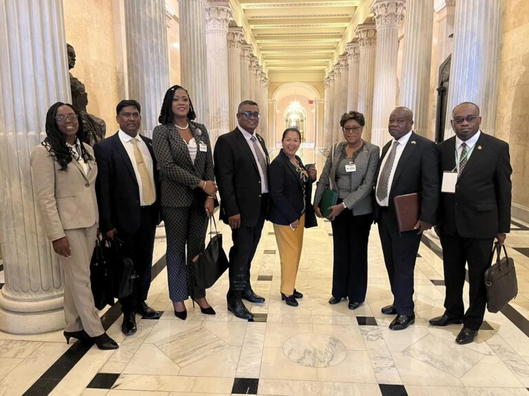 Members of the APNU+AFC delegation at the historic conference on Guyana in Washington