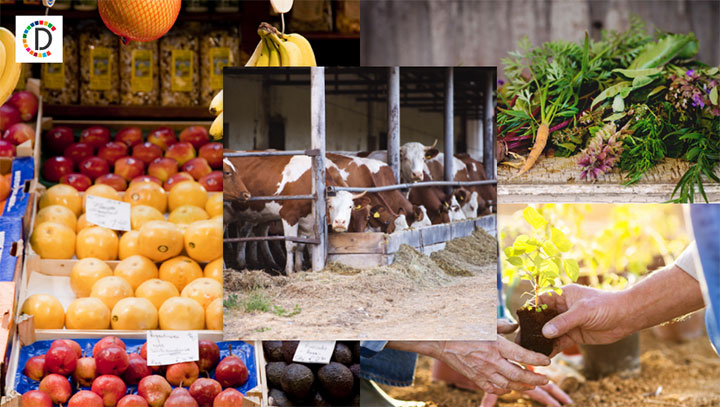 Products and produce of Barbados