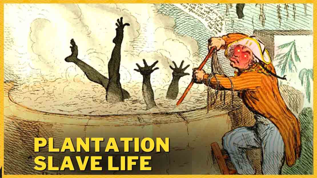 The life of black slaves on the plantations was notoriously miserable. The plantation system along with its slave labour is a tool of colonization marked by social and political inequality. It connected agricultural prosperity to the dominance of affluent aristocrats and the exploitation of slaves through the harrowing tales of captivity, maltreatment, and dehumanization!!! These slaves could experience amputation, castration, sexual assault, brutal beating and other various forms of punishment, even boiled in hot syrup to death.