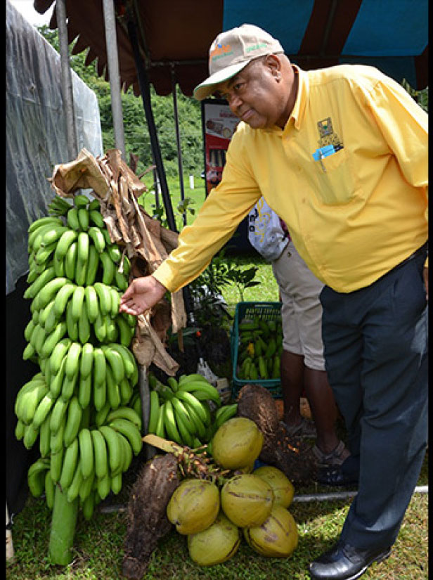 JAS President Lenworth Fulton Inspects a bunch of bananas at an agricultural show.