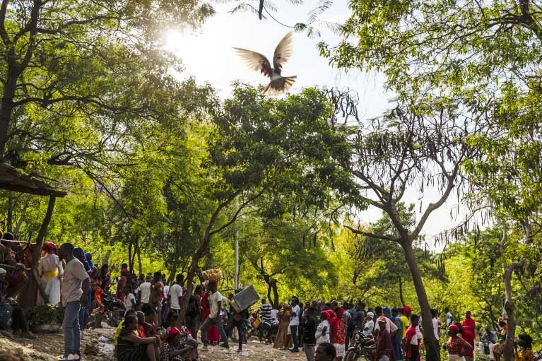 A dove takes flight as people attend the St. George vodou celebration in Port-au-Prince, Haiti, April 24, 2024. (AP Photo/Ramon Espinosa, File)