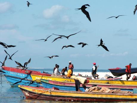 Jamaican Fishermen have had to resort to fishing as far as the Pedro Cays because of declining fish stock due to overfishing, as well as environmental factors.File photo