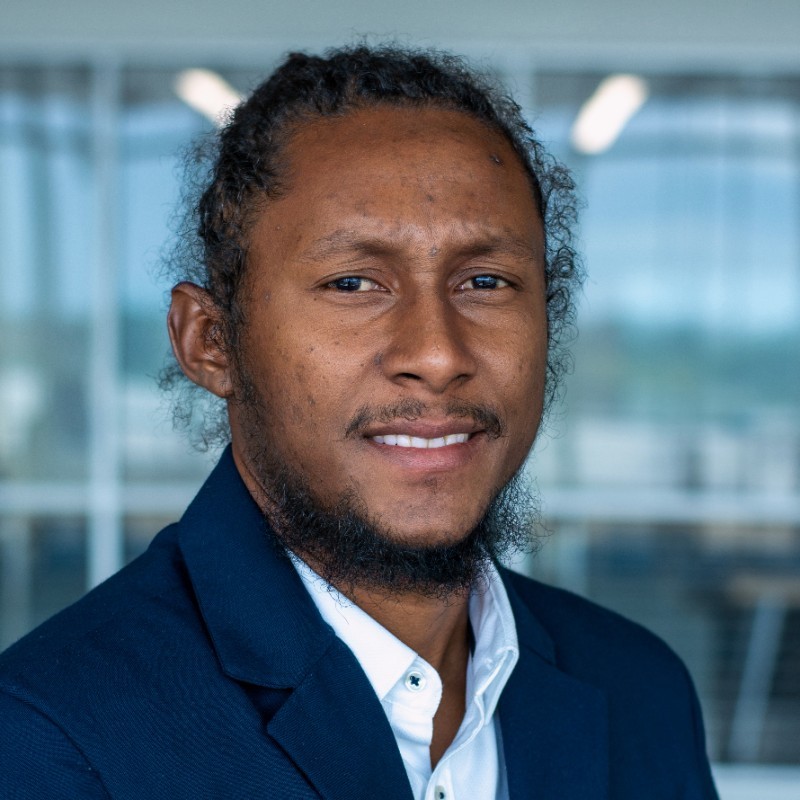 Jermaine Young is an Assistant Professor at Howard University, where he teaches and researches on the nexus of emergency powers (martial law, states of emergencies, and Zones of Special Operations) and criminal justice in colonial and postcolonial Jamaica.