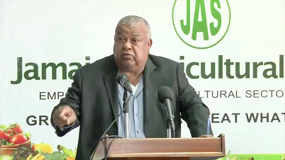 Nobody is interested in agriculture. The PC banks are dead, [and] the commercial banks not giving any loans to us because nobody nuh business ‘bout agriculture,” Lenworth Fulton told journalists recently.