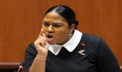 A defiant Minister Maria Browne defending her role in the so-called vehicle-gate during the budget debate