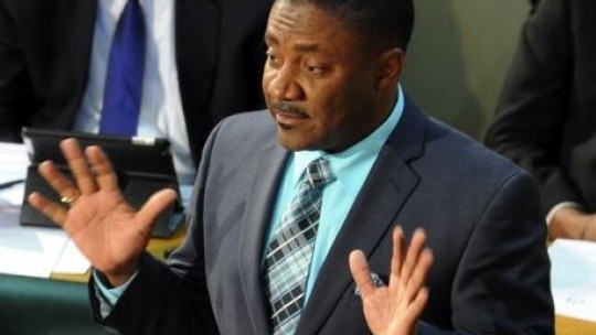 Opposition energy spokesman Phillip Paulwell
