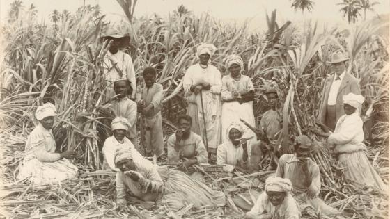 Enslaved Africans working under duress, for free, in Caribbean Sugar Plantations building wealth for Europeans and Americans.